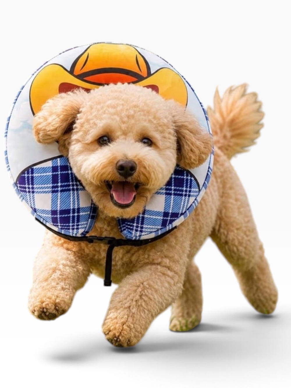 NWOT Inflatable Cowboy Costume Post Op Collar Pet Recovery Donut Collar